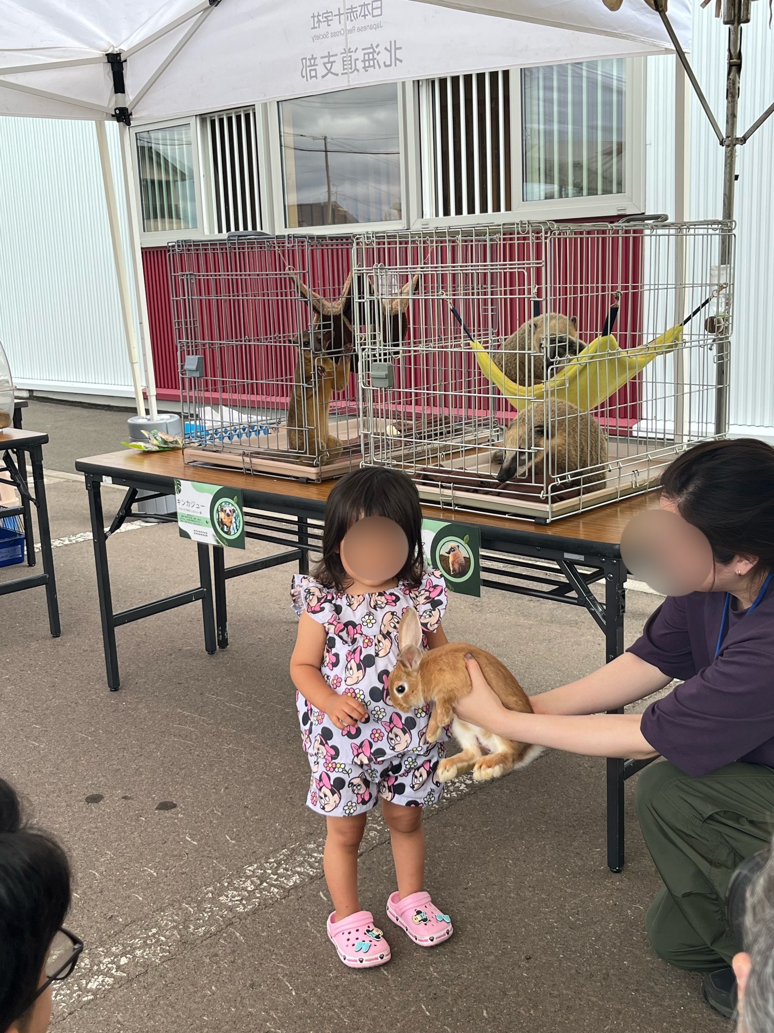 動物とのふれあい