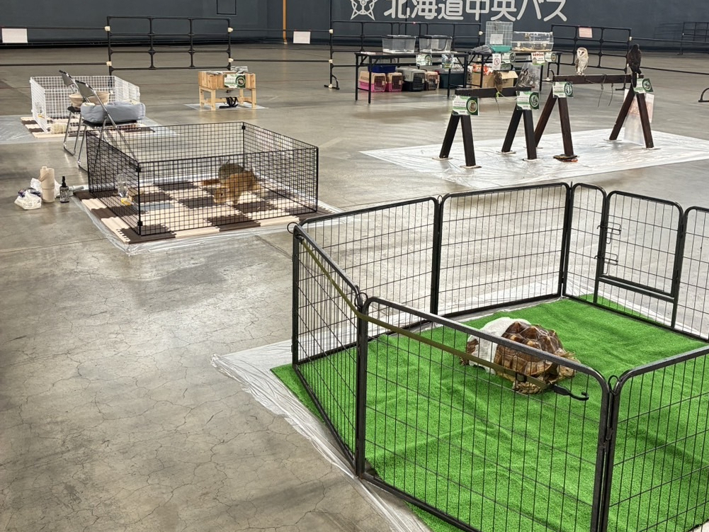 移動動物園の様子