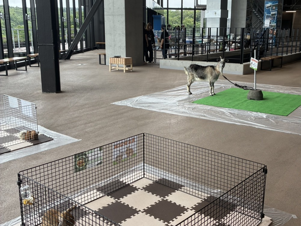 移動動物園の様子
